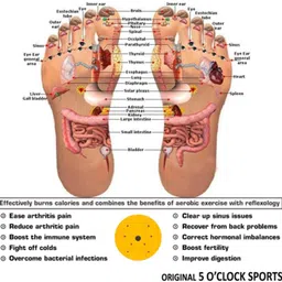 5supreme Tummy Twister for Fat Burning and Weight Loss 40 Ab Exerciser image 3