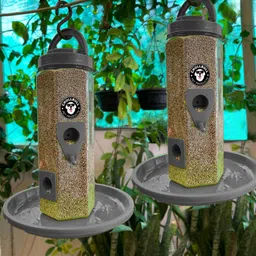 chullbull pet products Medium Food Feeder for birds Window Bird Feeder Bird Feeder image 2