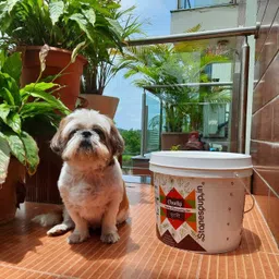 stonesoup.in Chutki Kit Garden Tool Kit image 4