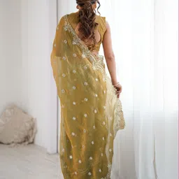 satrani Embroidered, Embellished Bollywood Chiffon Saree image 4