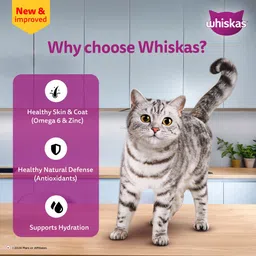 whiskas (1+ Years) Salmon 1.12 kg (14x0.08 kg) Wet Adult Cat Food image 5