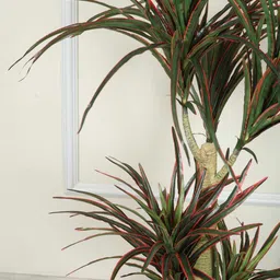 casacraft from pepperfry Artificial Purple Green Yucca Plant With Pot For Home (Purple) image 3