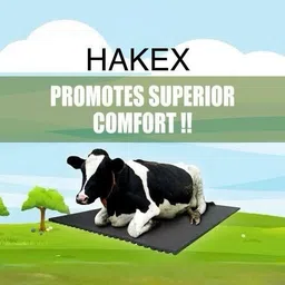 hakex Cow_Mat Waterproof Rubber Mat 8*5 Feet BPA Free For Horse- | Cow, Dog, Hamster, Guinea Pig, Miniature Pig Pet Mat-picture-10
