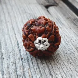 beautum NATURAL 4 MUKHI ORIGINAL RUDRAKSHA NEPALI ORIGINAL FOR MEN AND WOMEN Wood Pendant image 3