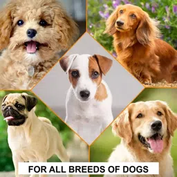 breedo Dog & Cat Flea-Tick Anti-Itch Powder 155 ml Pet Coat Cleanser image 5