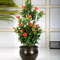 fourwalls Polyester Orange Morning Glory Bonsai With Ceramic Vase Artificial Plants-picture-39