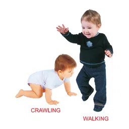 dreamland publications Dreamland Action Words Board Book for Children ,Fun Size Board Book to Learn Action Words - Kiddy Board Book Series image 2