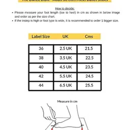 the dance bible Girl's Adult Stretch Mesh Soft Canvas Split Sole Ballet Dance Shoes image 3