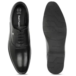 hush puppies Mens Adam Oxford E 24 Oxford image 4