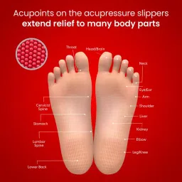 dr.ortho Orthopedic Slippers | Acupressure Slippers | Flip-Flops | For Men & Women's Slippers image 5
