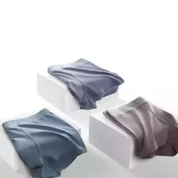 RUGVED Men's Underwear Ice Silk Seamless Boxer Briefs Breathable Ultra-Soft Panties Antibacterial Multicolor(B3-(M,N3)) image 5