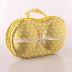 msa Bra and Panty, Lingerie Organizer Travel Bag Underwear Bra Storage Bag (Multi Color) image 1