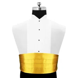 peluche Golden Cummerbund Set for Men image 2