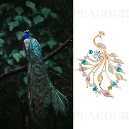 matson Sparkling Peacock Saree Brooch for Women Crystal Rhinestone Saree Pins for Dress, Blazer, Shawl, Brooch Pin Clothing Accessories Jewellery Gift for Women, Girls image 4