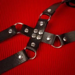 ujeavette Thigh Garter Punk Cross Thigh Rings Stage Performance Festival image 1