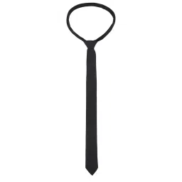 bureaucrat Mens Necktie image 2
