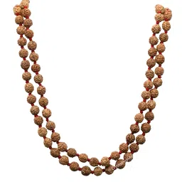 Crystal Heaven Rudraksha Mala For Men, 108 Beads Original Panchmukhi Rudraksha Japa Mala - Aaa Grade 5 Mukhi Rudraksha Mala For Protection, Meditation And Yoga image 4