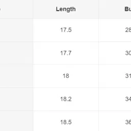 aahwan Women's Polyester Regular Fit Cropped Top image 5