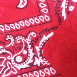 shopora Unisex Cotton Paisley Bandana Cowboy Head Scarf Head Wrap Red | Womens Accessories | Scarves & Wraps image 4