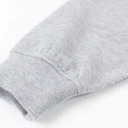 talitha fashion Women's Solid Casual Zipper Sweatshirt for Winter || Casual Solid Full Sleeves Women Stylish Hooded Neck Fleece Zipper Hoodie for Winter image 4