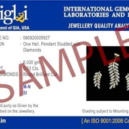 dishis 14K/18K/22K Yellow/Rose/White Gold Designer Mangalsutra for Women image 4