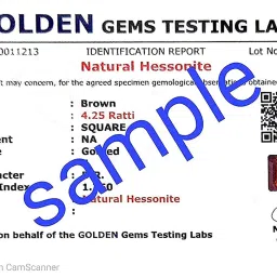 radheyma 13.67 Carat 14.25 Ratti Certified Gomed Stone Hessonite Garnet Gemstone A1+ Quality image 1