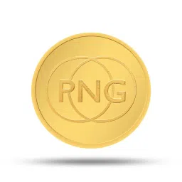 p.n.gadgil jewellers 24k (995) PNG 2 gm Yellow Gold Coin image 1