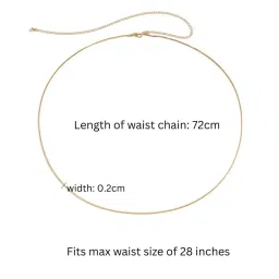 aaishwarya 18K Gold Plated Two Layered Snake Chain Waist Chain | Stainless Steel, Anti-Tarnish Hip Chains | Minimal Jewelry | Stylish Casual Wear Kamarband for Saree and Crop Tops image 1