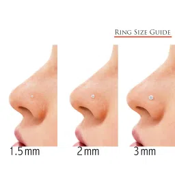 via mazzini 316L Stainless Steel No-Tarnish No-Rusting 3mm Nose Pin Stud For Women And Girls (NR04968) 1 Pair image 1