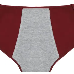 ragabandha design studio Women's Period Panty Hipster Leak Proof Underwear for Medium Flow - Set of 2 image 1