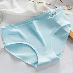 Organic Bamboo Fabric Mid Waist Panty Pack of Multipack Pack of 4 image 3