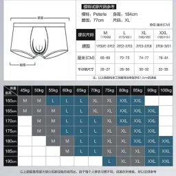 bnf Mens Mesh See Through Rose Flower Boxer Briefs Underwear | Transparent Floral Design Mesh Boxers for Men | Breathable Low Rise Fit | Comfort & Style Grey, XL Size image 5