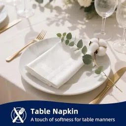 aenon fashion is my passion Cotton Premium Collection Casual Style Handkerchiefs Hanky For Men - White Striped Xxl King Size White Handkerchief Soft Reusable Hankies image 5