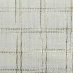 raymond BY ELATION WRINKLE FREE POLYESTER COTTON MEN SHIRTING FABRIC image 1