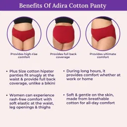 Adira | 3XL-10XL Cotton Panties for Women Plus Size | High Waist Panty with Full Coverage | Inside Elastic - No Elastic Exposure to Skin | Plus Size | Pack of 3 image 4