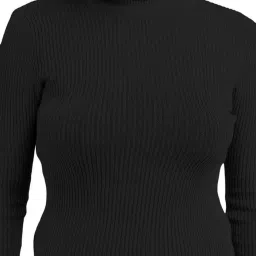 youthquake Winter Season Full Sleeves Highneck for Womens/Sweater Pullover/Womens Turtle Neck/Highneck T-Shirt image 2