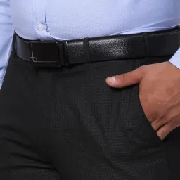 park avenue Men Regular Fit Pants image 5