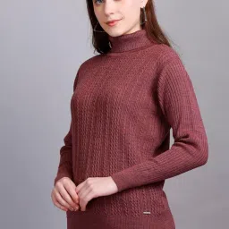 godfrey Women's High Neck Knitted Woolen Sweater image 4