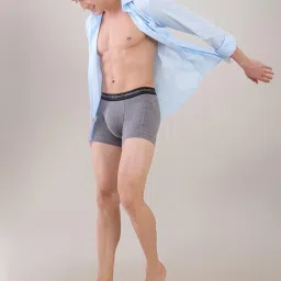 park avenue Men Regular Fit Solid Pattern Tactel Nylon Elastane Blend Trunk Grey image 5