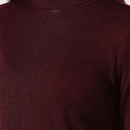 van heusen Women's Turtleneck Pullover Regular Fit Sweater| Full Sleeve Ribbed Hem Casual winterwear image 3