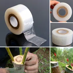 mplus Tape 1 inch X 100m Grafting Tape Manua Grafting tape (Manual)-picture-26