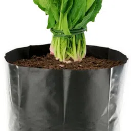 8 X 10 inch 200 Pieces Nursery Bags For Plants Plastic Poly Bag Grow Plant Garden Black Grow Bag-image-37