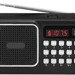 QUBE MA-Carvaan Dynamic Portable Wireless 5 W Bluetooth Speaker with FM Radio/Sound FM Radio-picture-23