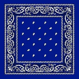 bismaadh Men Printed Bandana-picture-28