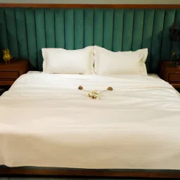 aetherea world Beige 300TC 100% Cotton Solid Bed Sheet Collection by Aethrea World-picture-40