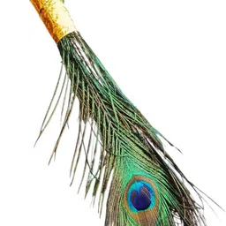 vrindmart Pack of 4 Decorative Feathers image 3