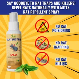 prefetto cosmo Rat Buster: Protect Your Home from Unwanted Rats-picture-19