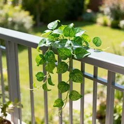 hokira Artificial Money Plant Creeper for Wall & Balcony Décor (Pack of 1) Artificial Plant image 2