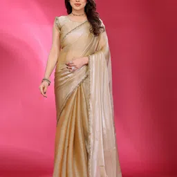 Embellished Bollywood Jimmy choo Saree-image-42