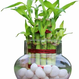magicmoon Mini Flower Vase, Bamboo Plant Vase (Matka Shape Pot) - 4 Inches Plant Container Set image 2